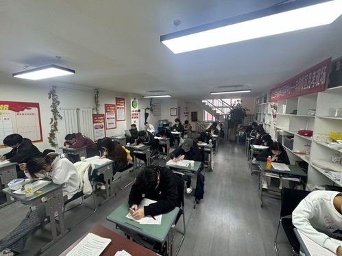 2026年5月豐潤區單招培訓直銷公司選擇指南 本地化教育與深度服務全解析